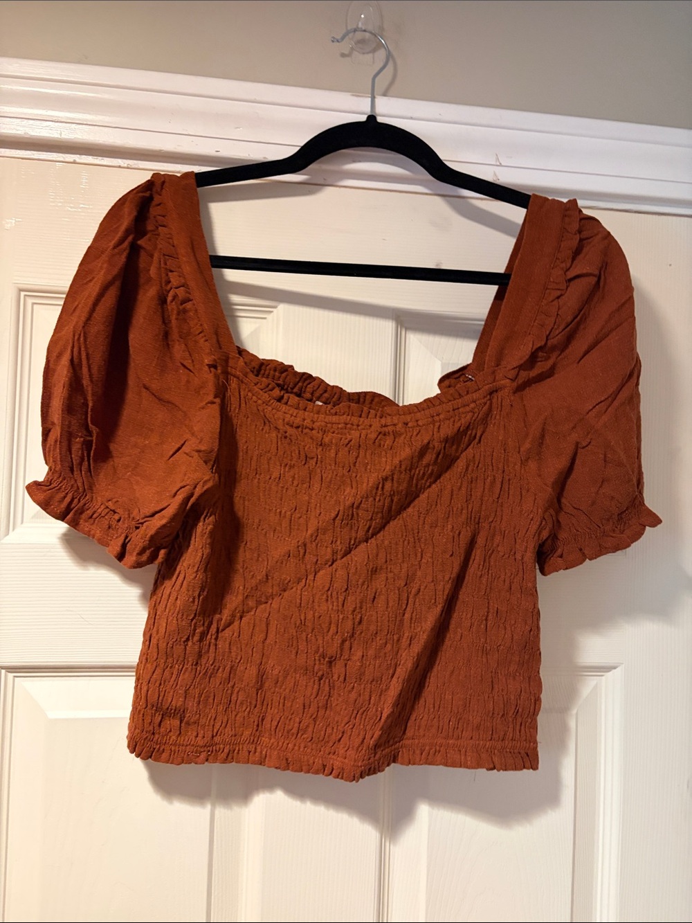 Monteau Smocked Puff-Sleeve Crop Top in Rust XL